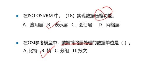 计算机网络体系架构在網絡工程師成长之路中的核心地位与实践探索